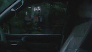 სკანდინავიური ლამაზმ ...