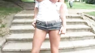 მოწესრიგებული და სექ ...