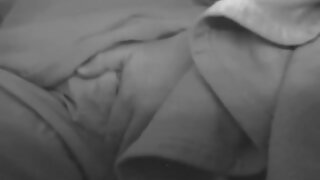 Buxom shemale hooker ...