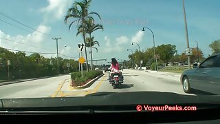 გალიაში დამორჩილებულ ...