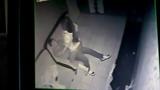 ბოროტ მეძავს ვანდალ  ...